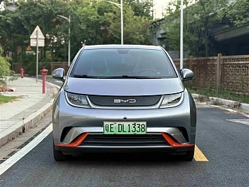 Dolphin 2021 model 405km fashion version купить по цене 1 904 347 ₽  на сайте DeffCars