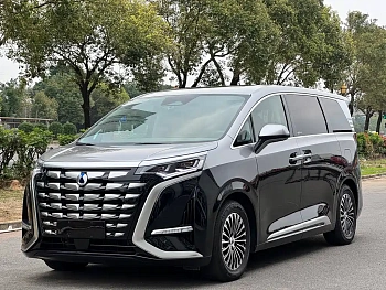 Denza D9 2022 DM-i 1040 Premium Type купить на сайте DeffCars