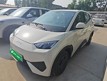 Seagull 2025 305km active version купить на сайте DeffCars