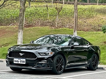 Mustang 2015 2.3T Performance Edition купить на сайте DeffCars