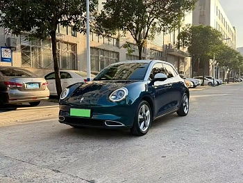 Euler Good Cat 2021 model 400km standard battery life Athena version ternary lithium купить на сайте DeffCars