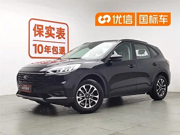 Ruiji 2024 EcoBoost 245 two-wheel drive leisure model купить на сайте DeffCars