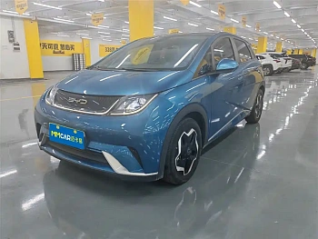 Dolphin 2021 model 405km fashion version купить по цене 1 882 611 ₽  на сайте DeffCars