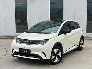 Dolphin 2023 model 420km fashion version купить по цене 2 020 524 ₽  на сайте DeffCars