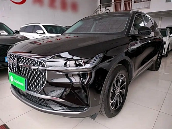 Voyager 2023 2.0T four-wheel drive exclusive edition купить на сайте DeffCars