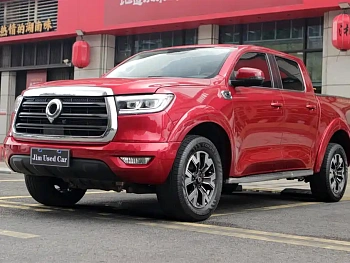 Cannon 2019 2.0T automatic gasoline four-wheel drive sports version GW4C20B купить на сайте DeffCars