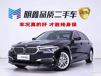 BMW 5 Series 2020 530Li Leading Luxury Package купить на сайте DeffCars