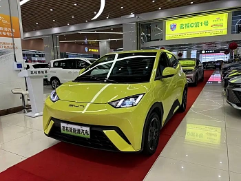 Seagull 2023 Flying Edition купить по цене 1 749 704 ₽  на сайте DeffCars