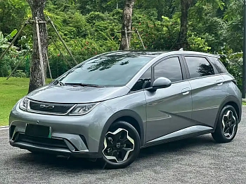 Dolphin 2021 model 405km fashion version купить по цене 1 801 344 ₽  на сайте DeffCars