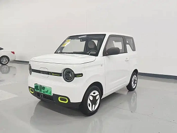 Panda 2025 Panda mini 210km Yuanqi Bear купить на сайте DeffCars