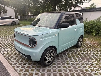 Panda (Geome) 2023 (Geome)mini 200km Smart Bear купить на сайте DeffCars
