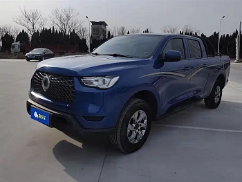 Cannon 2021 2.0T commercial version automatic diesel two-wheel drive elite long box GW4D20M купить на сайте DeffCars