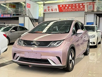 Dolphin 2023 model 420km fashion version купить по цене 1 926 106 ₽  на сайте DeffCars