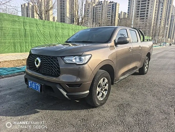 Cannon 2021 2.0T commercial version automatic diesel two-wheel drive elite long box GW4D20M купить на сайте DeffCars