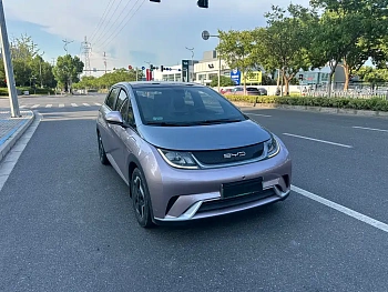 Dolphin 2021 model 405km fashion version купить по цене 1 817 957 ₽  на сайте DeffCars