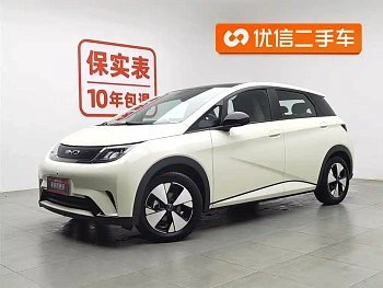 Dolphin 2023 model 420km fashion version купить по цене 1 909 387 ₽  на сайте DeffCars