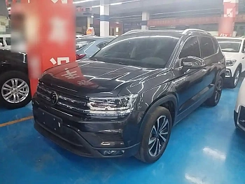 Tuyue 2022 280TSI two-wheel drive luxury version купить на сайте DeffCars