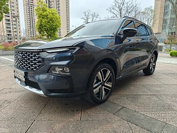Lingrui 2023 EcoBoost 170 platinum collar type купить на сайте DeffCars