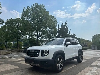 Haval Big Dog 2021 1.5T DCT Two-wheel drive Labrador Edition купить по цене 1 858 237 ₽  на сайте DeffCars