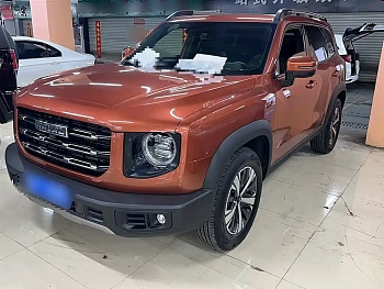 Haval Big Dog 2021 1.5T DCT Two-wheel drive Labrador Edition купить по цене 1 864 272 ₽  на сайте DeffCars