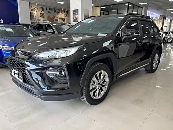 Wilanda 2024 2.0L CVT two-wheel drive leading version купить на сайте DeffCars