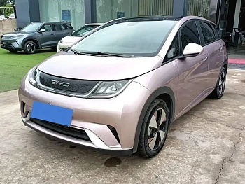 Dolphin 2023 model 420km fashion version купить по цене 1 859 229 ₽  на сайте DeffCars