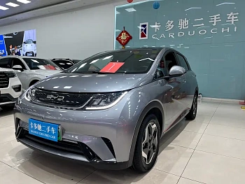 Dolphin 2021 model 405km fashion version купить по цене 1 932 450 ₽  на сайте DeffCars