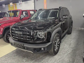 Haval Big Dog 2021 1.5T DCT Two-wheel drive Horse Dog Edition купить по цене 1 824 443 ₽  на сайте DeffCars