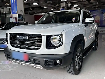 Haval Big Dog 2022 1.5T DCT Two-wheel drive Labrador Edition купить по цене 1 849 789 ₽  на сайте DeffCars