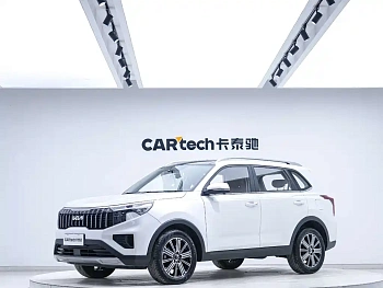 Zhipao 2021 Ace 2.0L Wonderful Edition купить на сайте DeffCars