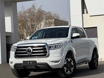 Cannon 2021 2.0T passenger global version automatic diesel four-wheel drive comfort standard box GW4D20M купить на сайте DeffCars