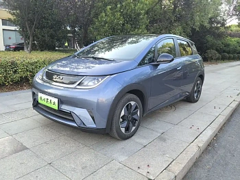 Dolphin 2025 model 420km fashion version купить по цене 2 150 936 ₽  на сайте DeffCars