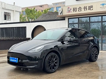 Model Y 2021 standard range rear-wheel drive version купить на сайте DeffCars