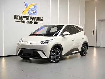 Seagull 2023 Flying Edition Seagull 2023 Flying Edition купить по цене 1 719 800 ₽  на сайте DeffCars