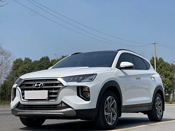 Tucson 2019 280TGDi dual-clutch two-wheel drive fashion version National V купить на сайте DeffCars