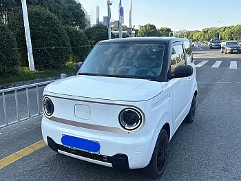 Panda 2023 Panda mini 200km endurance bear купить на сайте DeffCars