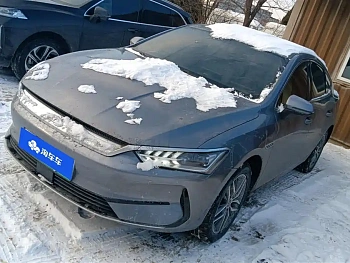 Qin PLUS 2023 Champion Edition EV 510KM Leading Model купить по цене 2 225 676 ₽  на сайте DeffCars