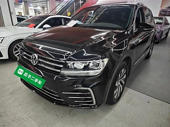 Tiguan L New Energy 2020 430PHEV Plug-in Hybrid Premium Edition купить на сайте DeffCars