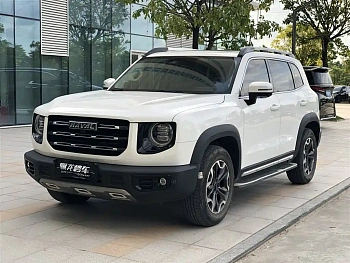 Haval Big Dog 2021 2.0T DCT four-wheel drive Chinese pastoral dog version купить по цене 2 200 368 ₽  на сайте DeffCars