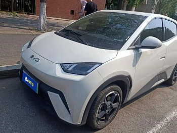 Seagull 2023 Flying Edition Seagull 2023 Flying Edition купить по цене 1 711 494 ₽  на сайте DeffCars