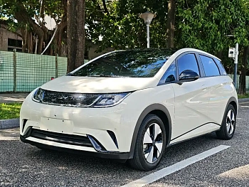 Dolphin 2023 model 420km fashion version купить по цене 1 842 510 ₽  на сайте DeffCars