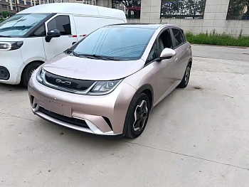 Dolphin 2021 model 405km fashion version купить по цене 1 817 957 ₽  на сайте DeffCars