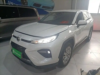 Wilanda 2024 2.0L CVT two-wheel drive leading version купить на сайте DeffCars