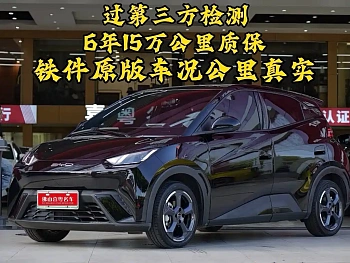 Seagull 2023 Flying Edition купить по цене 1 766 317 ₽  на сайте DeffCars