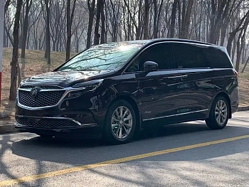 Buick GL8 2020 Avenir Six-seater Xianli Edition купить на сайте DeffCars