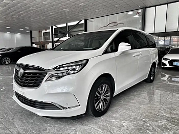 Buick GL8 2022 ES Lu Zun 653T Exclusive Type купить на сайте DeffCars
