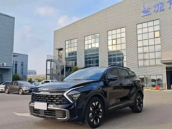 Lion Platinum Extension 2025 2.0T two-wheel drive premium version купить на сайте DeffCars