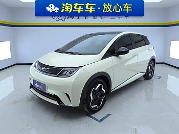 Dolphin 2021 model 405km fashion version купить по цене 1 932 450 ₽  на сайте DeffCars