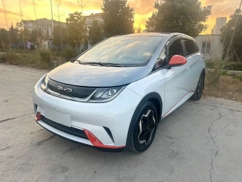 Dolphin 2021 405km fashion version купить на сайте DeffCars
