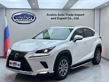 Lexus NX 2020 200 AWD Fengshang Edition National VI купить на сайте DeffCars